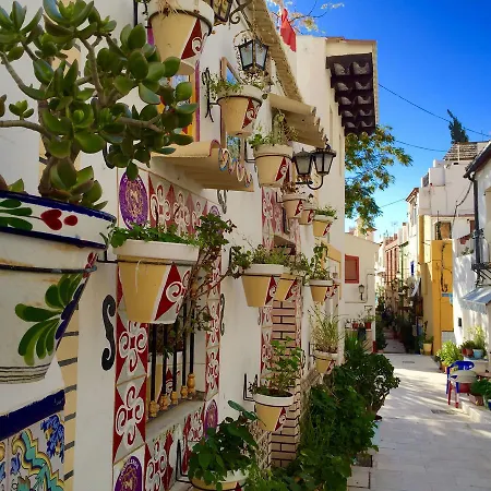 Rumbo Odisea Casco Antiguo Daire Alicante